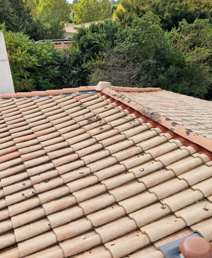 nettoyage toiture cestas