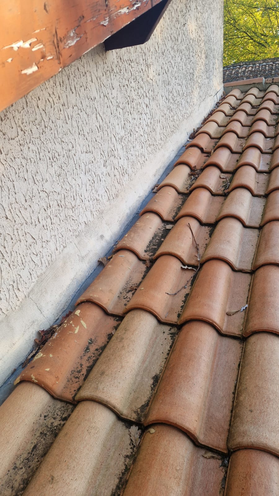 nettoyage toiture Le Teich