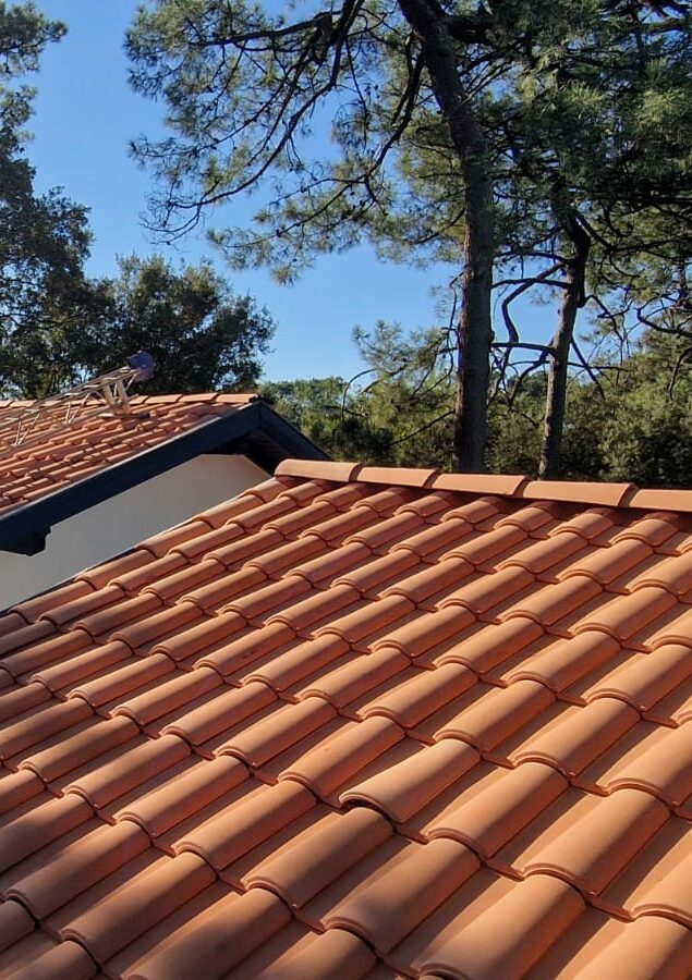 nettoyage toiture Le Teich